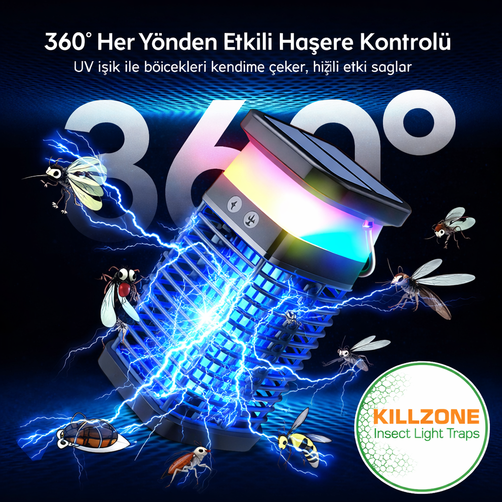 3+1(02) 3102